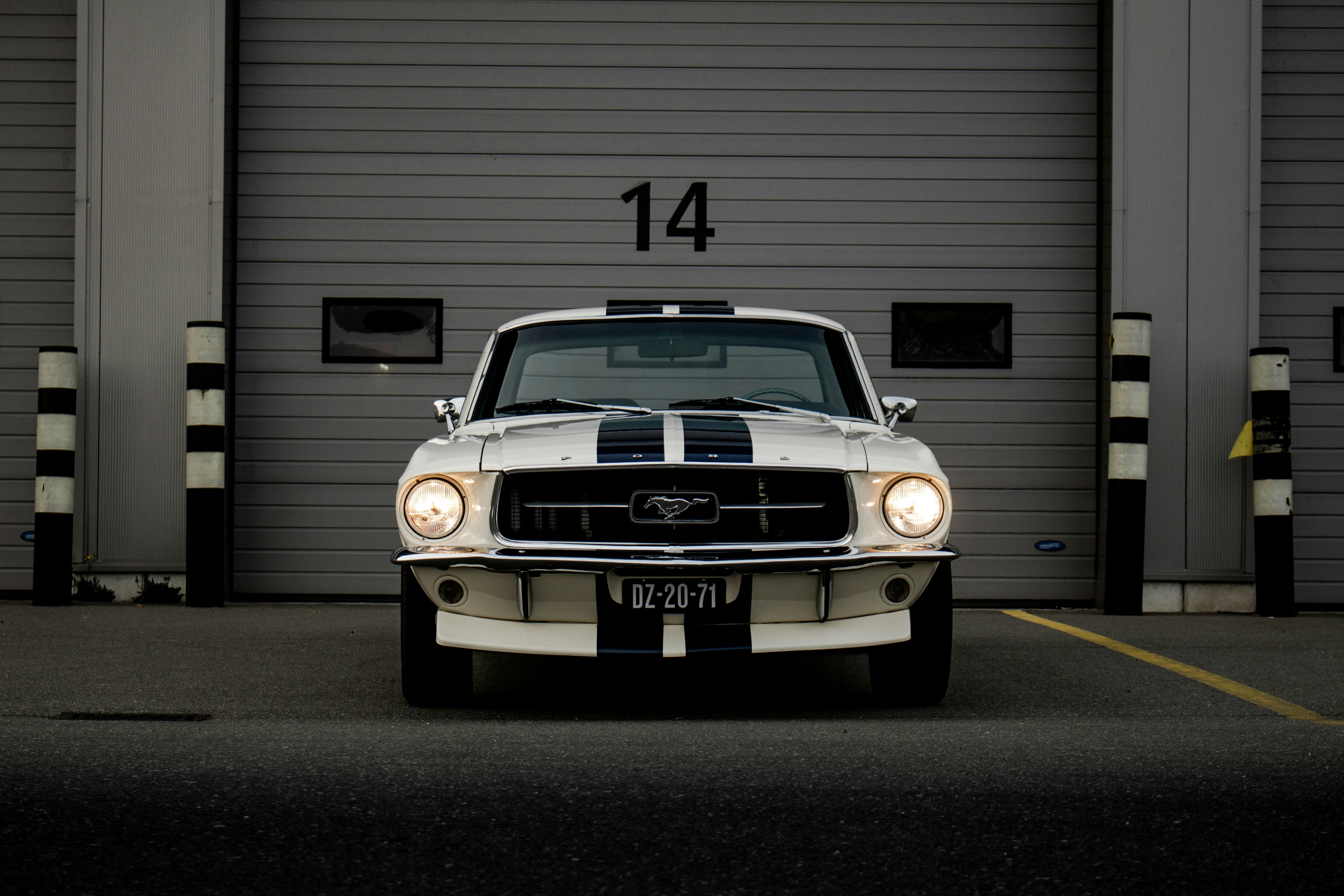 Ford international